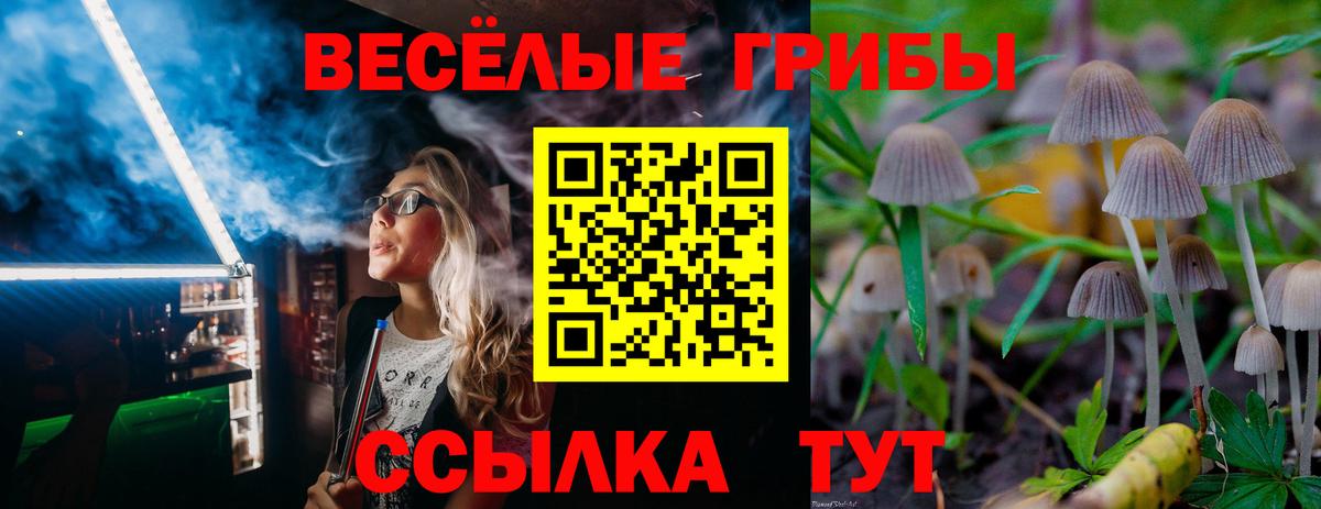 Галлюциногенные грибы мицелий  Вход с VPN  наркотики  Елизово 